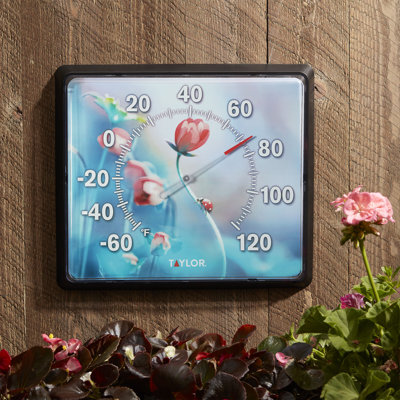 Taylor 12"x14" Ladybug Dial Thermometer