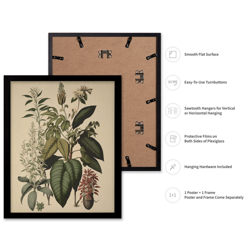 Fleur sauvage n ° 2, Cadre noir, Affiche, H 08 po x l 10 po