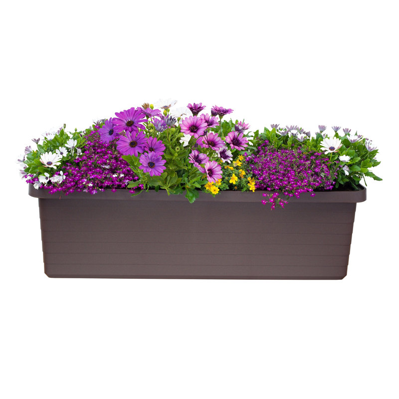Julixa Planter Box, Chocolate