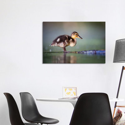Duckling II 1 Piece Wrapped Canvas Wall Art