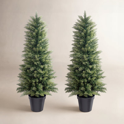 60" Cypress Topiary in Pot