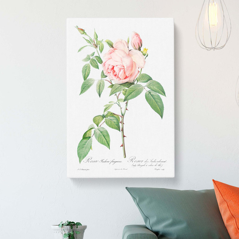 The Pale Pink Roses by Pierre-Joseph Redoute - Wrapped Canvas Painting, 50cm H x 35cm W x 3cm D