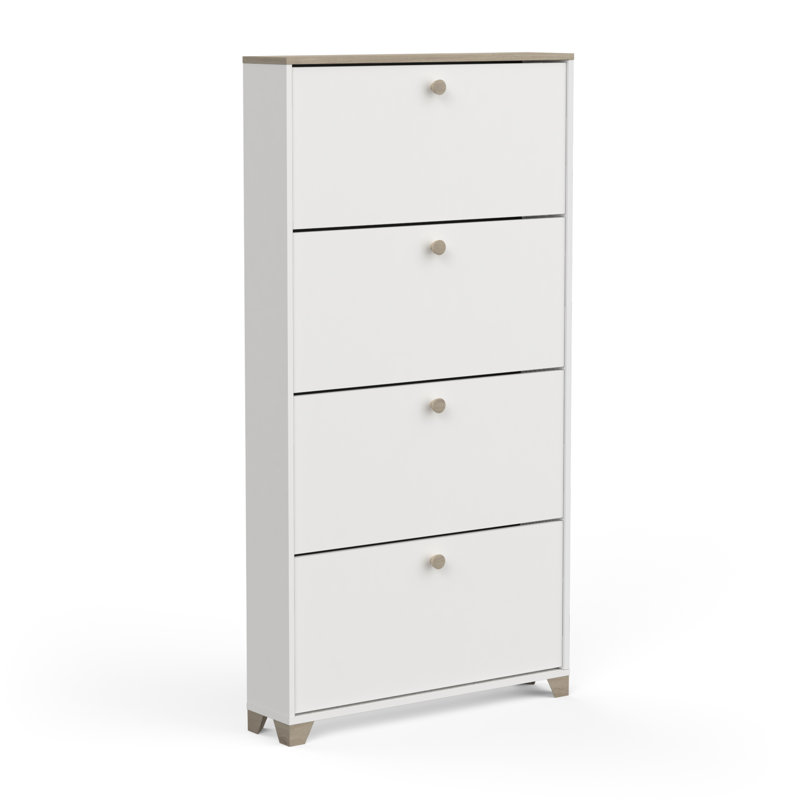 Barbaa 12 Pair Shoe Storage Cabinet