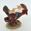 Helotes Gnomes Sleeping On Mushroom Fairy Garden