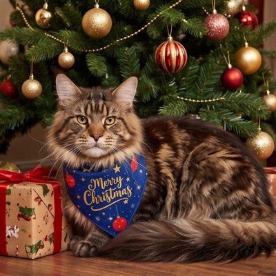 Décoration de Noël : bandana pour chien, foulard autour du cou, idéal pour les fêtes, les photos et les déguisements festifs.