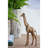 Wheaton Animals Statue-581703832
