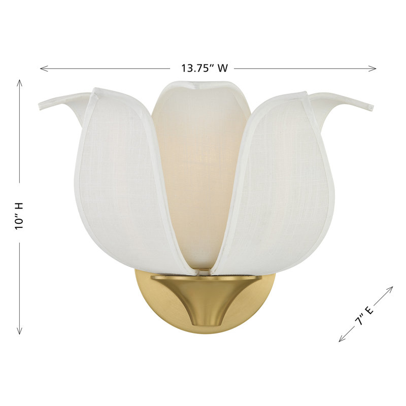 Elsie 1-Light Wall Sconce in Warm Brass by Breegan Jane
