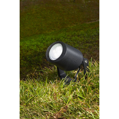 Carvey Black Resin Spotlight