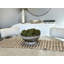 Boules de Sedum décoratives-268170696