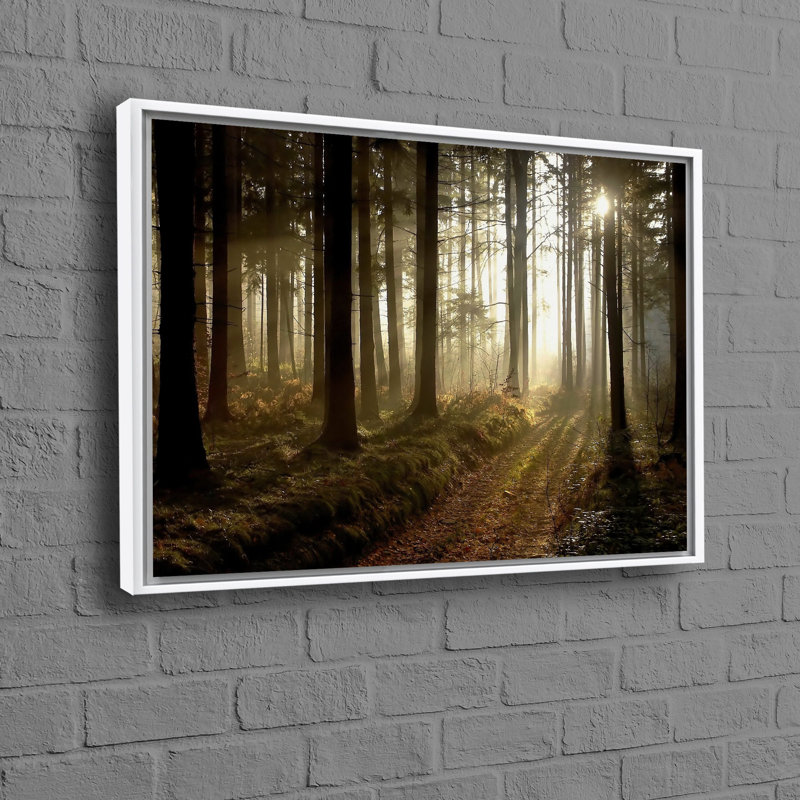 Art mural sur toile Sunset Sunset Forest Forest, H 45 po x l 65 po, Reproduction encadrée sans passe-partout, Blanc