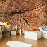 Daqwane Tree Trunk Cross Section Wall Mural