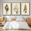 Ensemble de 3 coquillages à tons neutres I, encadré sur toile-97708901-97708898