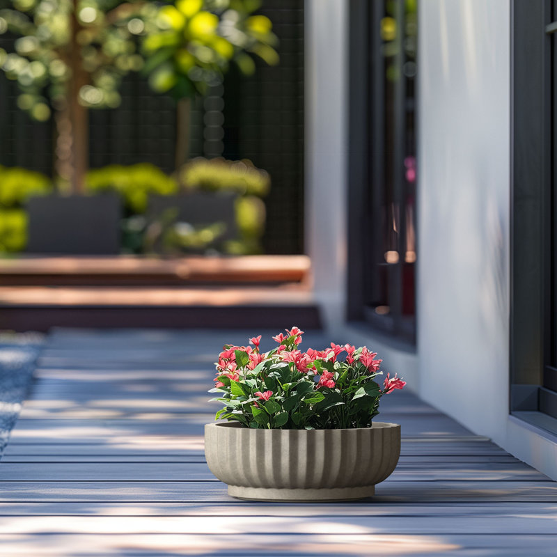 Large Concrete Round Planter / Pot With Drainage Holes, 5.51" H x 14.57" W x 14.57" D, Light Gray