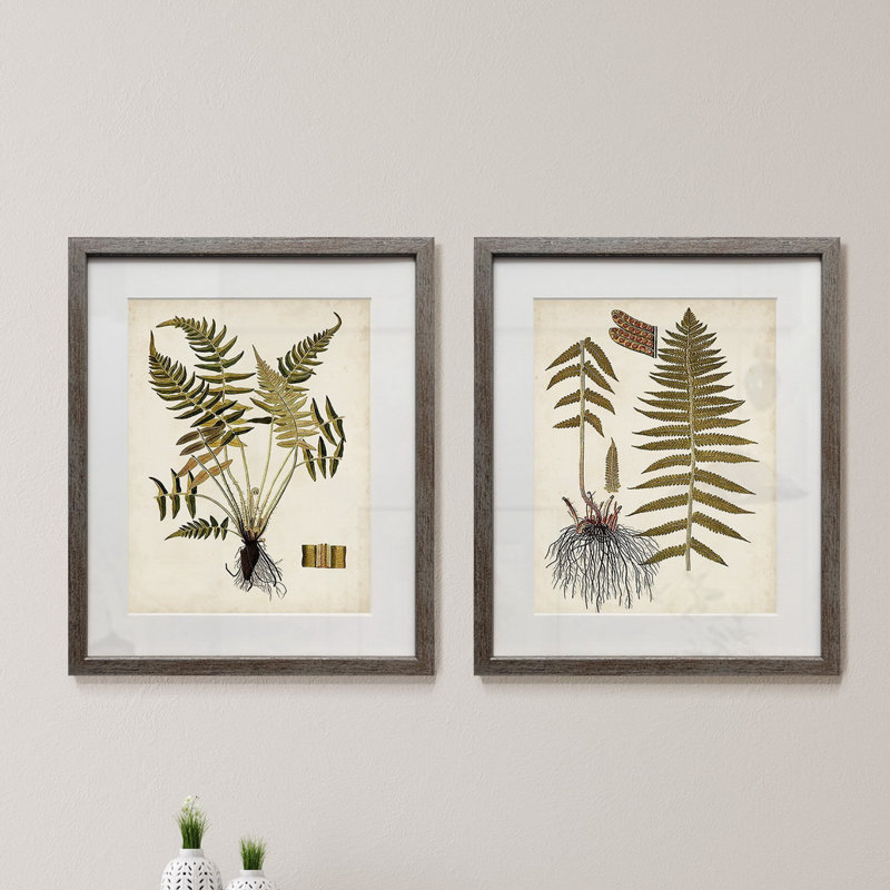 Fougère Botanical IV-ensemble de 2 reproductions d’art sur papier encadrée, Cadre argenté