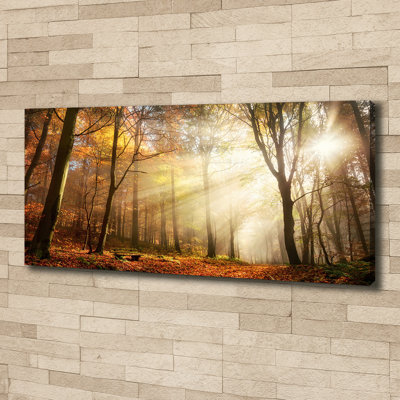 Fog In The Forest - Print