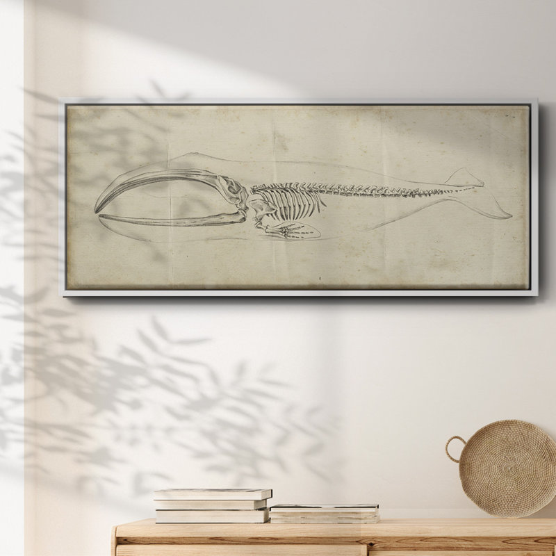 Whale Study I, reproduction d'art sur toile, Blanc, H 12 po x l 30 po x P 1,5 po
