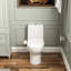 DeerValley Elongated Toilet Seat Bidet