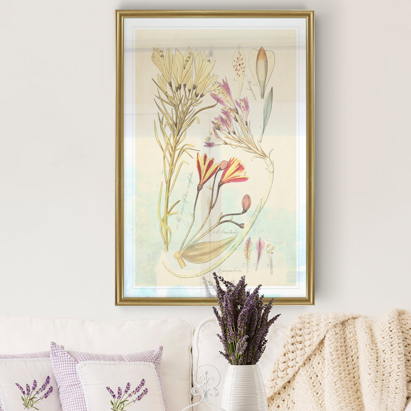 Reproduction botanique antique sur toile, H 22,5 po x l 30,5 po x P 1,5 po, Cadre doré