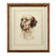 Danchin Setter Print
