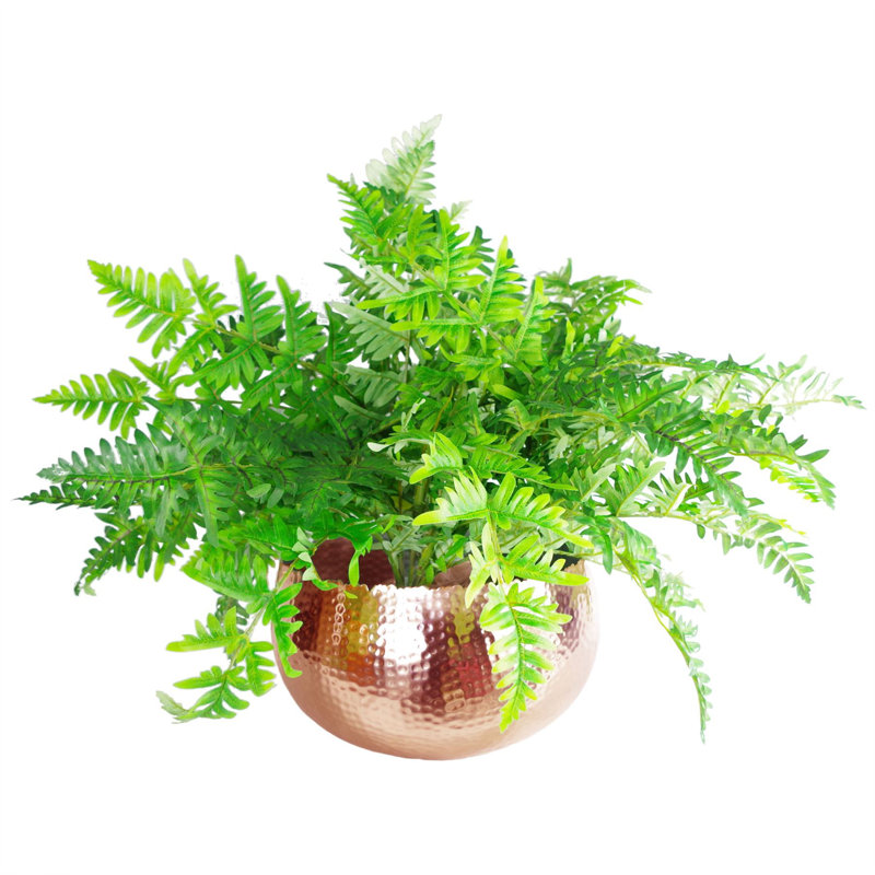 Steen Handmade Metal Cachepot, Copper, 20 cm H x 30 cm W x 30 cm D