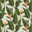 Birds of Paradise - Papier peint sable