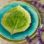 Riviera Stoneware Appetizer Plate