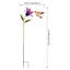 44 po. Colibri 44 po
