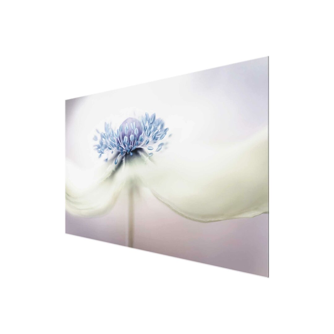 Glasbild Lila Anemone