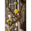 Jets de roses-1612550982