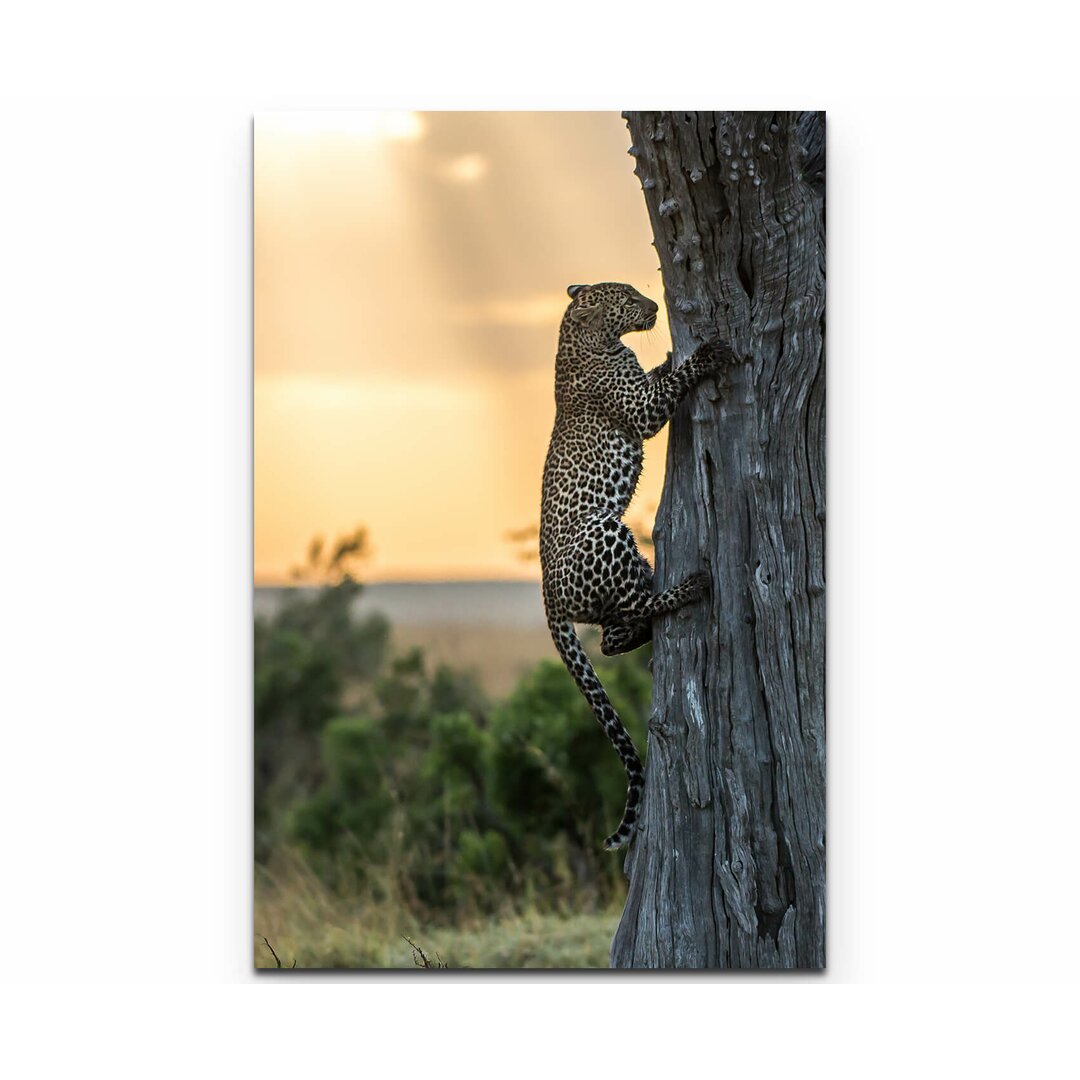 Leinwandbild Leopard auf einem Baum