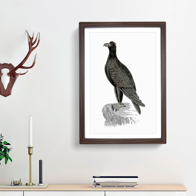 Mountain Eagle Illustration - Framed Print, Walnut Framed, 48cm H x 36cm W x 2cm D