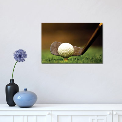Iron Gold Grass 1 Piece Wall Art on Canvas