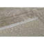 Oriental Area Rug