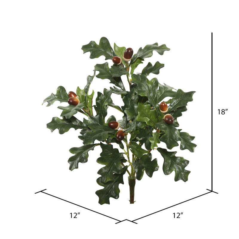 Oak Arrangement