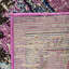 Tapis oriental Almyra-998839932-1040038766