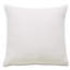 Naomi Square Pillow Cover & Insert-101837626-101837627