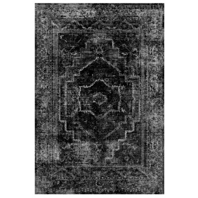 Oriental Indoor Rug