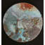 Chronique de Verdigris