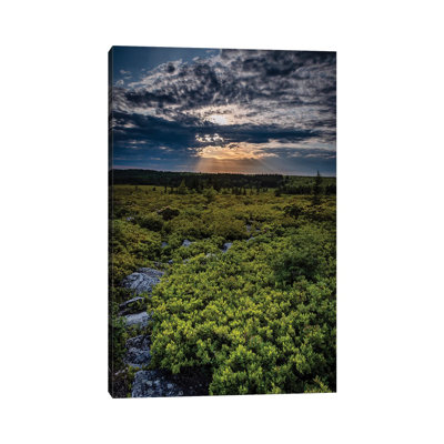USA, West Virginia, Blackwater Falls State Park. Tree and landscape at sunset. 1 Piece Wrapped Canvas Wall Art