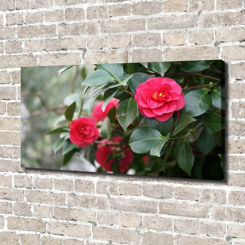 Camellia - Wrapped Canvas Print