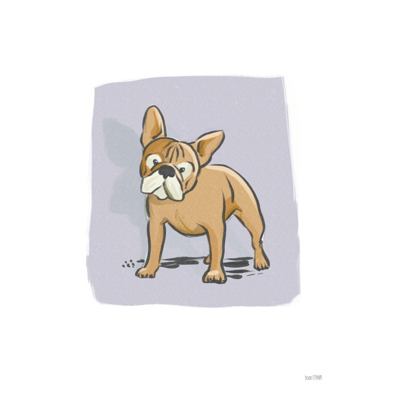 Bark and Chew Lab, H 36 po x l 24 po