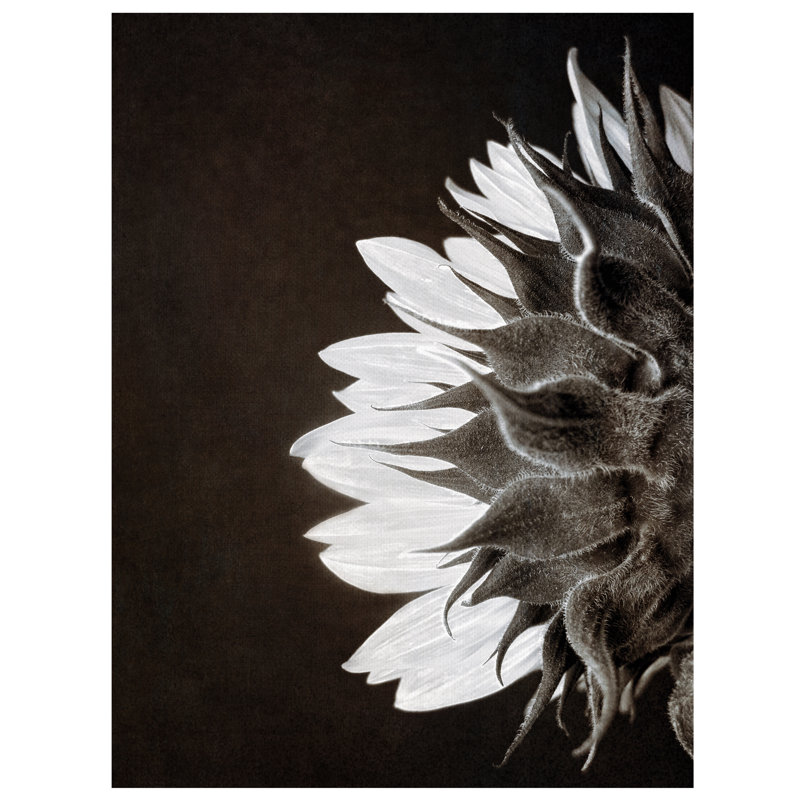 «Sunflower Profile», reproduction d'impression sur toile tendue, H 20 po x l 16 po x P 1,5 po