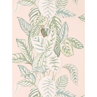 Calathea 10.05m x 68.6cm Matte Wallpaper Roll