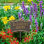 Plaque de jardin Song Bird-39821327