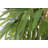 67" Artificial Faux Weeping Fig Tree in a  Resin Planter Real Touch Fake Ficus Benjamina Tree