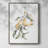 Watercolor Fruit Contour I  Framed Print - Solid Wood-1123146326
