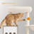 Felise 72.8" H 4-Tier Cat Tree-944869348