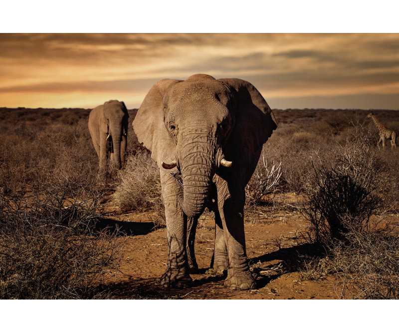 Wrapped Canvas Print, 60.96 cm H x 91.44 cm W