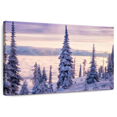 Alvord Snowy Flathead Lake