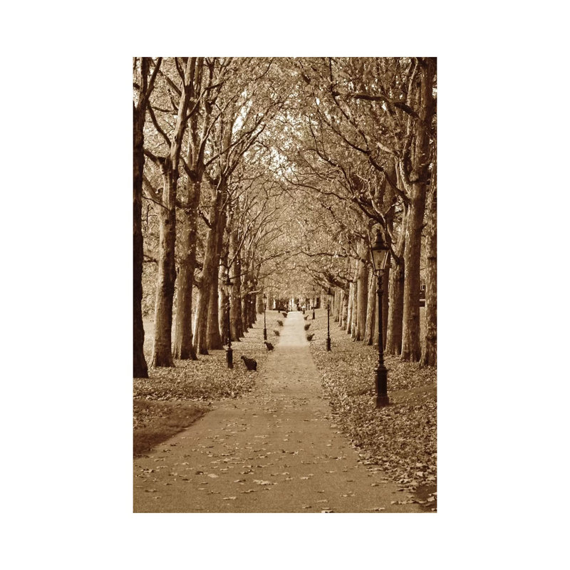 Autumn Stroll II by Boyce Watt - Wrapped Canvas Print, 20.32 cm H x 30.48 cm W